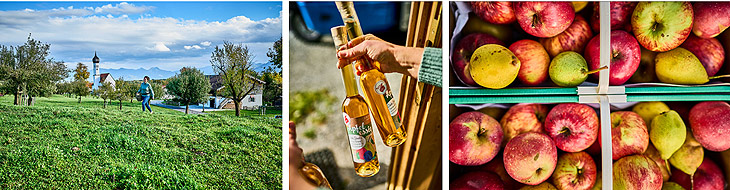 30. Apfelmarkt im Streuobstparadies Bad Feilnbach 06.-09.10.2022 (©Foto: Apfelmarkt Feilnabch Collage)